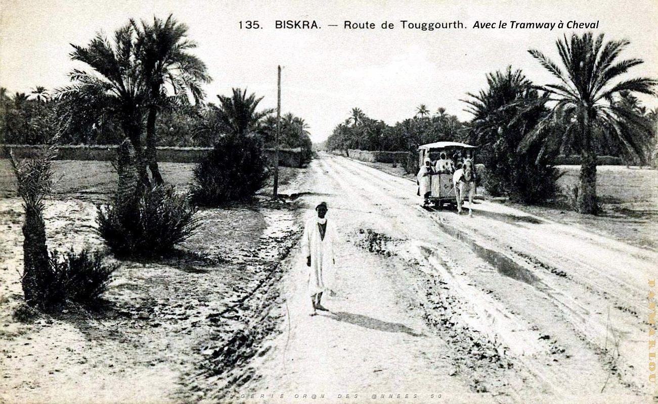 Biskra - Route de Touggourt - Avec le Tramway a Cheval.jpg